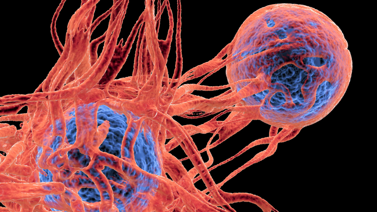Delivering High-Quality Trials With Expert Consultation And Management In Cancer Research
