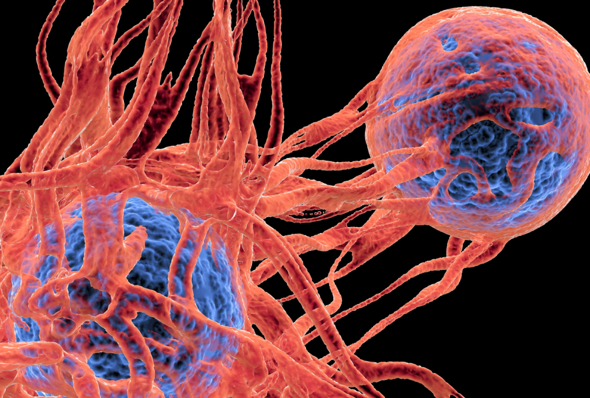 Delivering High-Quality Trials With Expert Consultation And Management In Cancer Research