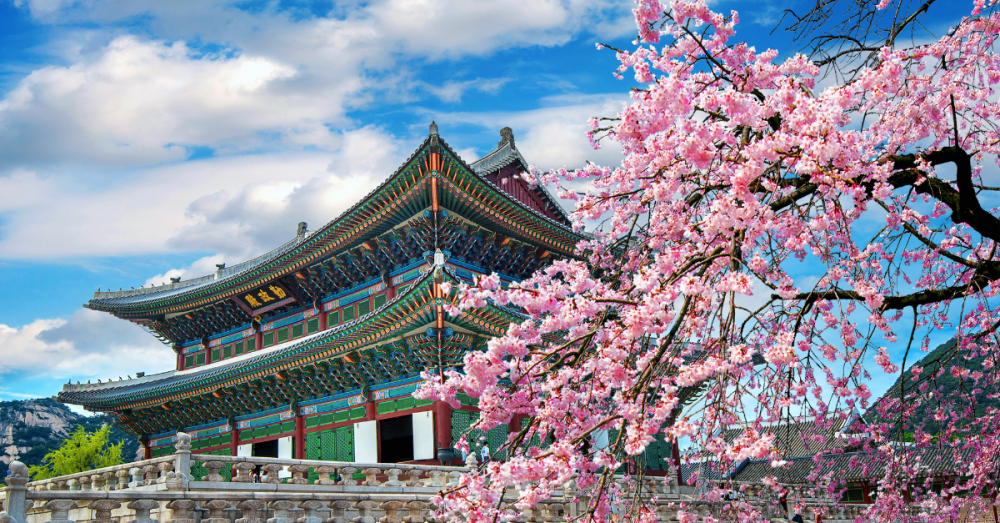 MEET AVANCE CLINICAL IN SEOUL AT BIO KOREA 2025