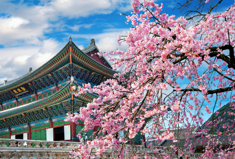 MEET AVANCE CLINICAL IN SEOUL AT BIO KOREA 2025 MEET AVANCE CLINICAL IN SEOUL AT BIO KOREA 2025