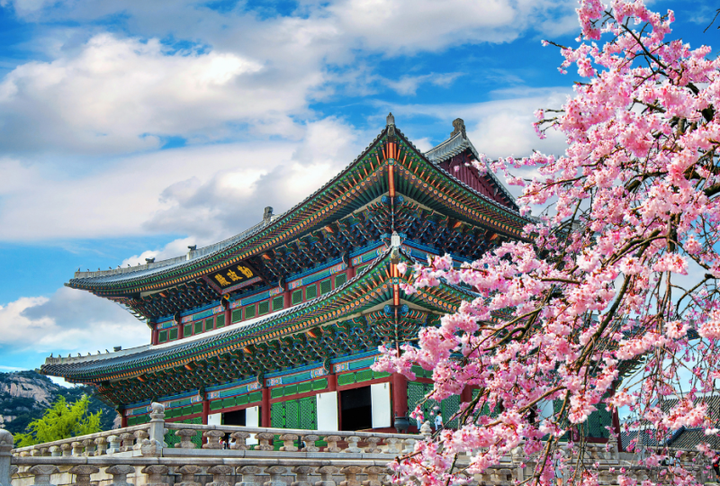 Avance Clinical to Showcase Asia-Pacific Clinical Trial Expertise at BIO KOREA 2025 Avance Clinical to Showcase Asia-Pacific Clinical Trial Expertise at BIO KOREA 2025