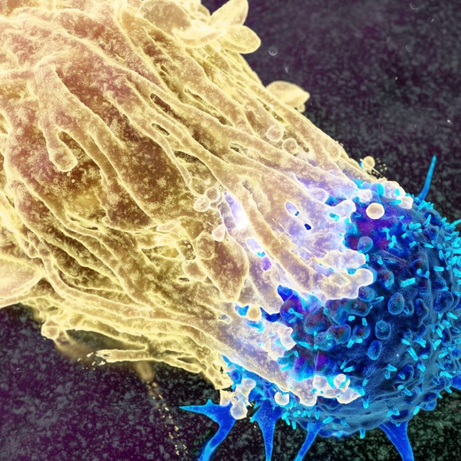 Oncology-COE-3-aspect-ratio-1600-975