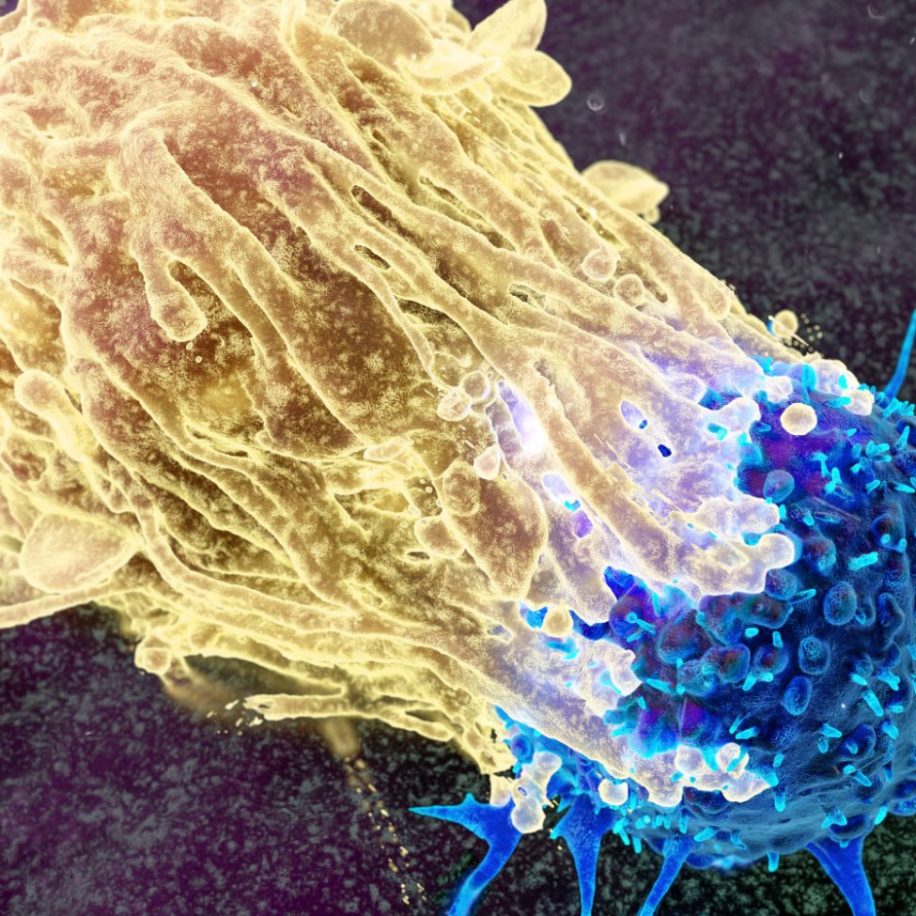 Oncology-COE-3-aspect-ratio-1600-975