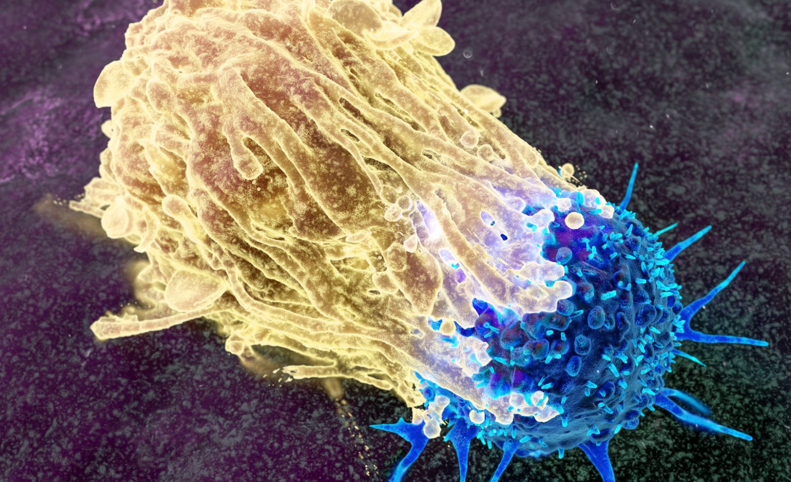 Oncology-COE-3-aspect-ratio-1600-975