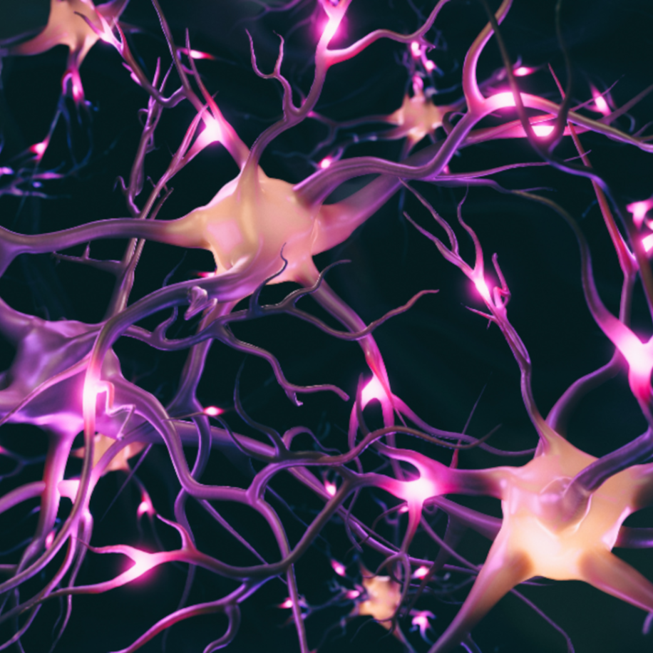 CNS-Neurons-pink-aspect-ratio-1600-975