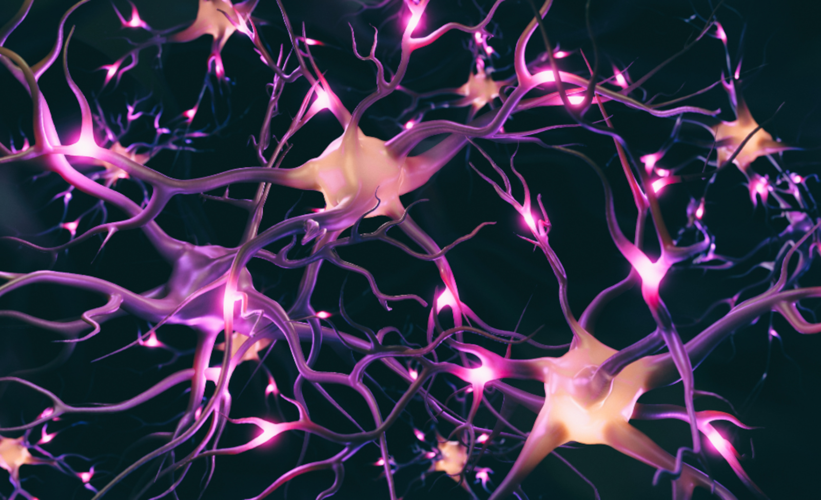 CNS-Neurons-pink-aspect-ratio-1600-975