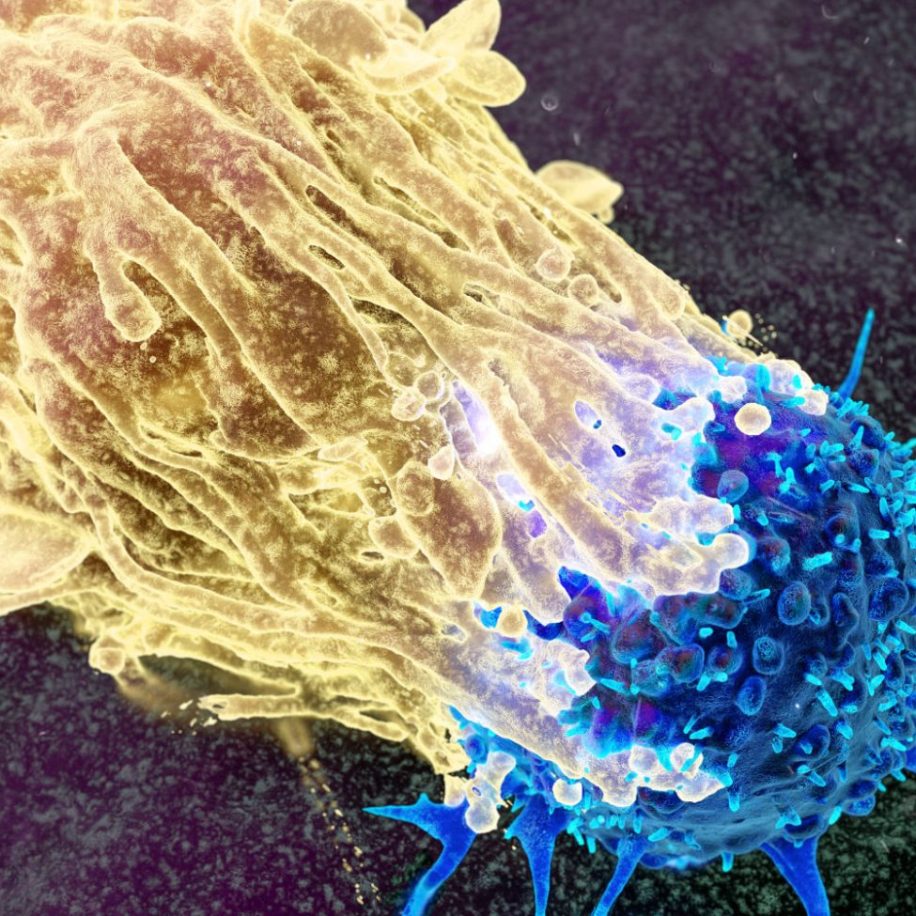 Oncology-COE-3-aspect-ratio-1600-975
