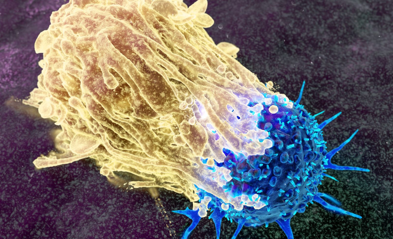 Oncology-COE-3-aspect-ratio-1600-975