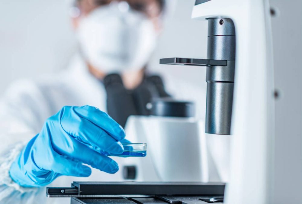 The Rise of Chinese Biotechs and the Global CRO Question The Rise of Chinese Biotechs and the Global CRO Question