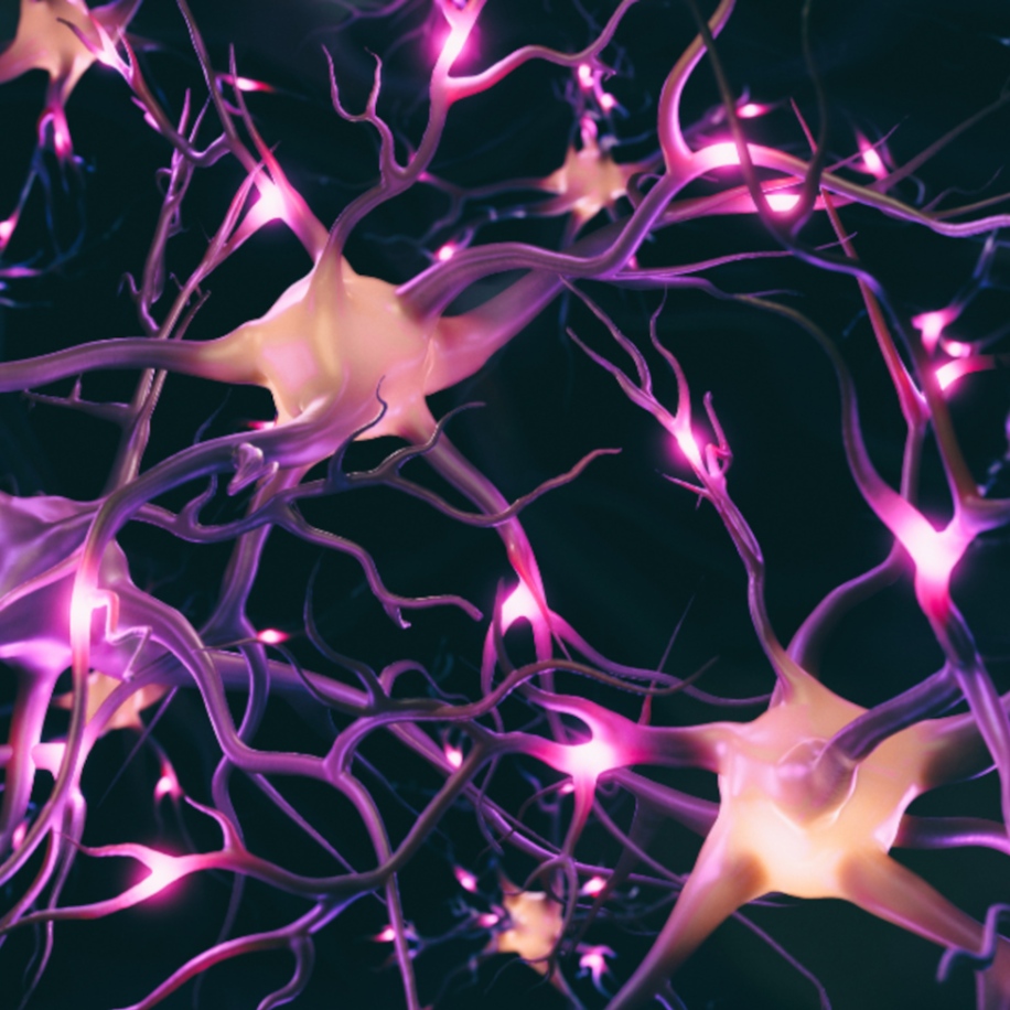 CNS-Neurons-pink-aspect-ratio-1600-975
