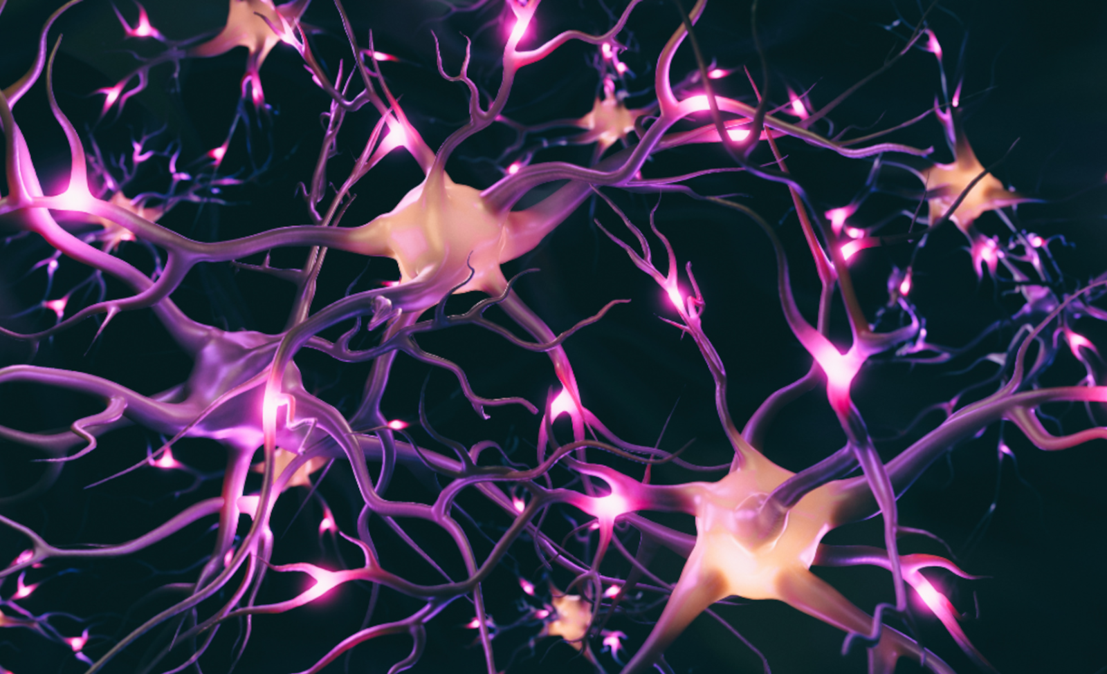 CNS-Neurons-pink-aspect-ratio-1600-975