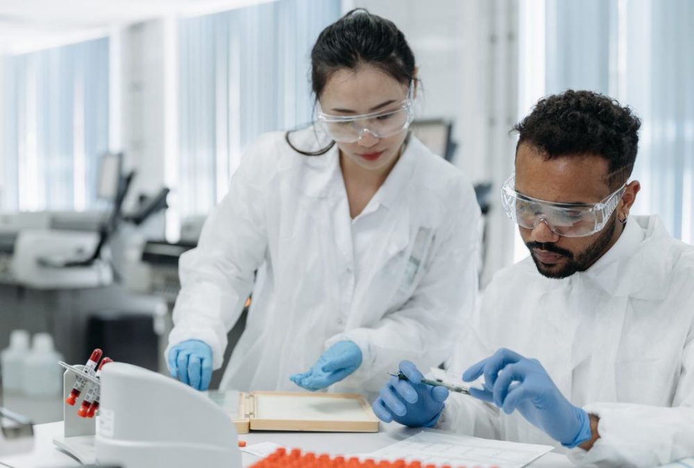 7 Decisions That Shape Your Path from Preclinical to Clinical